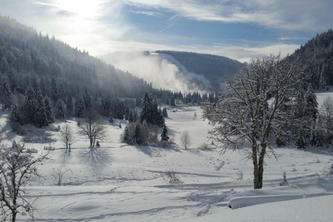 La Bresse - Appartement De Charme Esterno foto