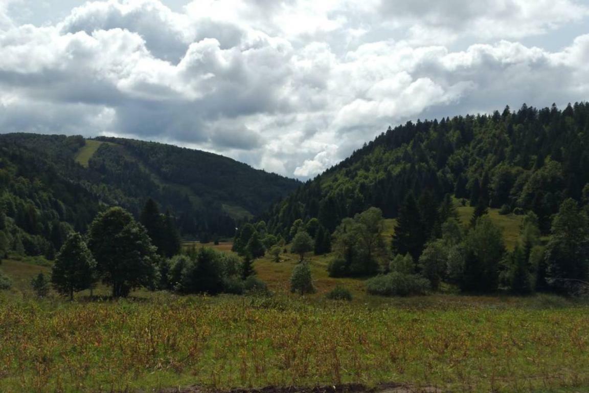 La Bresse - Appartement De Charme Esterno foto